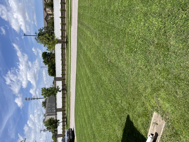 Wide open lawn mowed with clean stripes