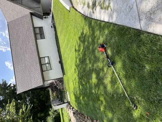 Side yard trimmed with string trimmer on the grass
