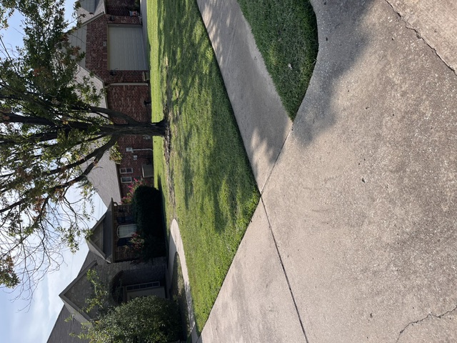 Front yard trimmed along sidewalk and driveway