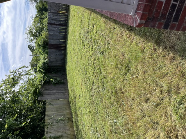 Same backyard cut down clean and level after cleanup
